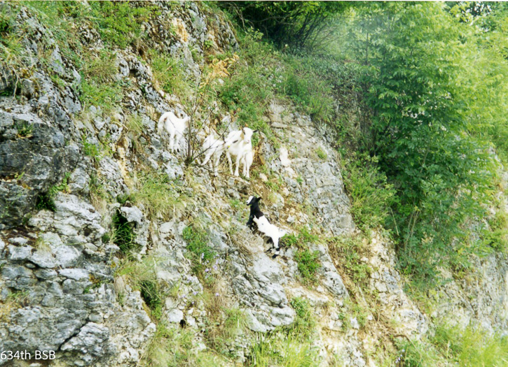 634_italy-050