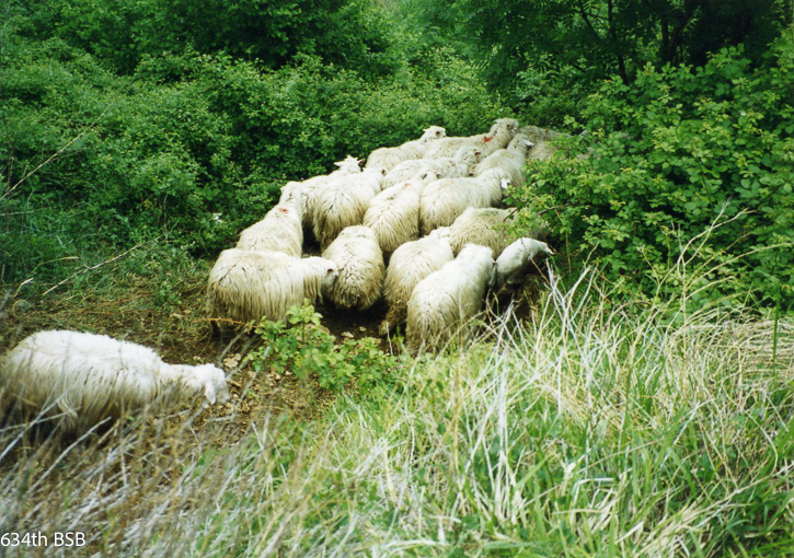 634_italy-095